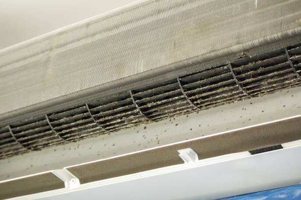 Reliable Cheswold, DE Airduct Cleaning Solutions